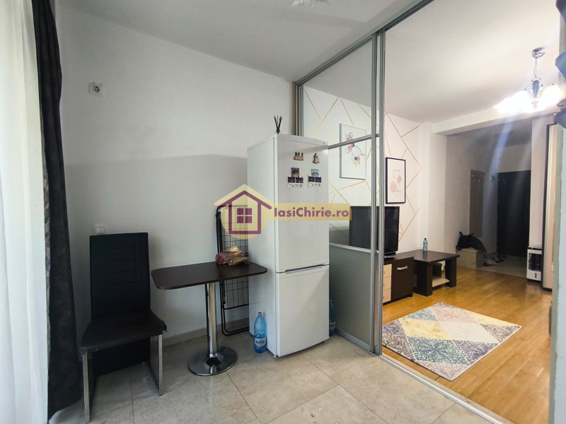 Apartament de inchiriat cu o camera in Iasi, zona Copou - Poza 6