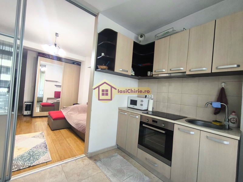 Apartament de inchiriat cu o camera in Iasi, zona Copou - Poza 5