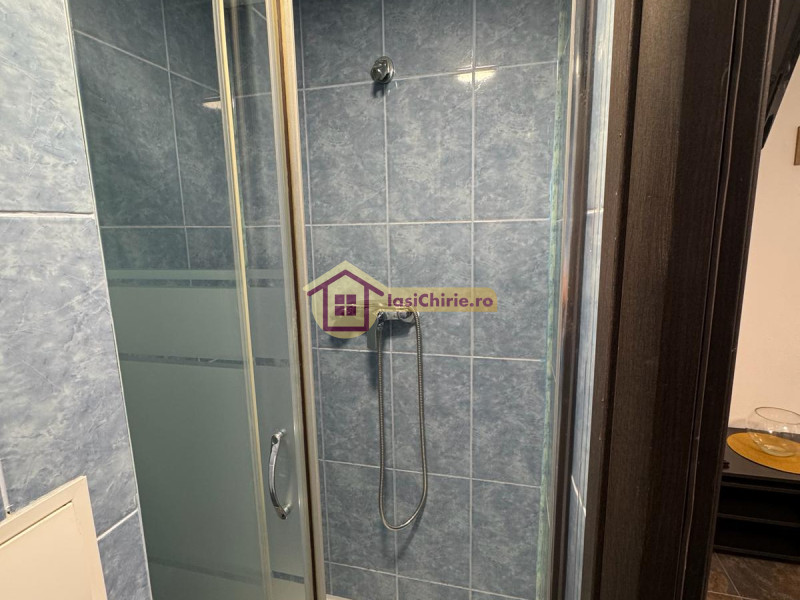 Apartament de inchiriat cu o camera in Iasi, zona Cantemir - Poza 5
