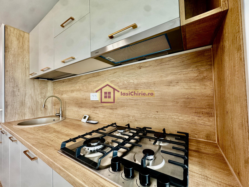 Apartament de inchiriat cu o camera in Iasi, zona Copou - Poza 6
