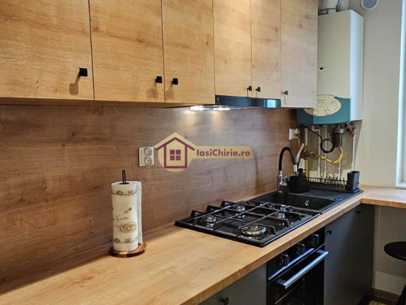 Apartament de inchiriat cu o camera in Iasi, zona Tudor Vladimirescu - Poza 8