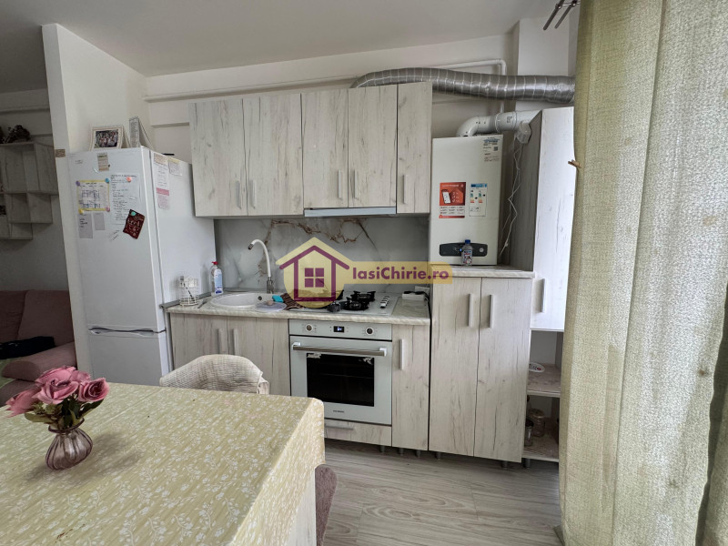 Apartament de inchiriat cu 2 camere in Iasi, zona Visani - Poza 3