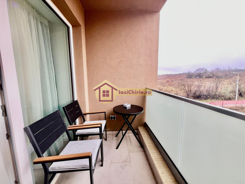 Apartament de inchiriat cu 2 camere in Iasi, zona Copou - Poza 5