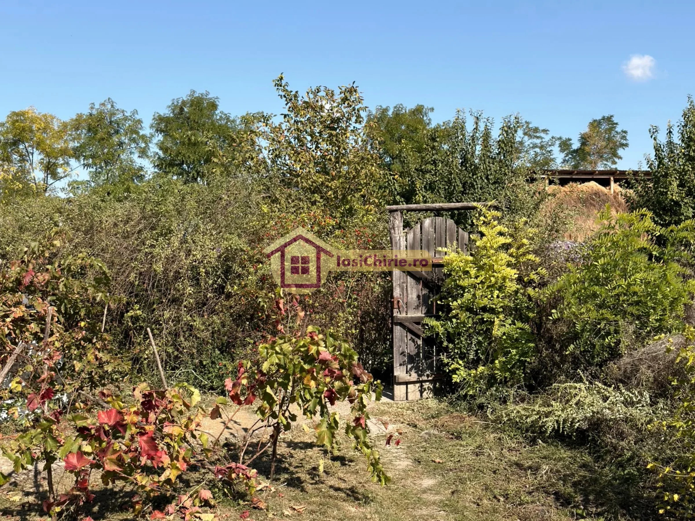 Casa de vanzare cu 3 camere in Iasi, zona Erbiceni - Poza 5