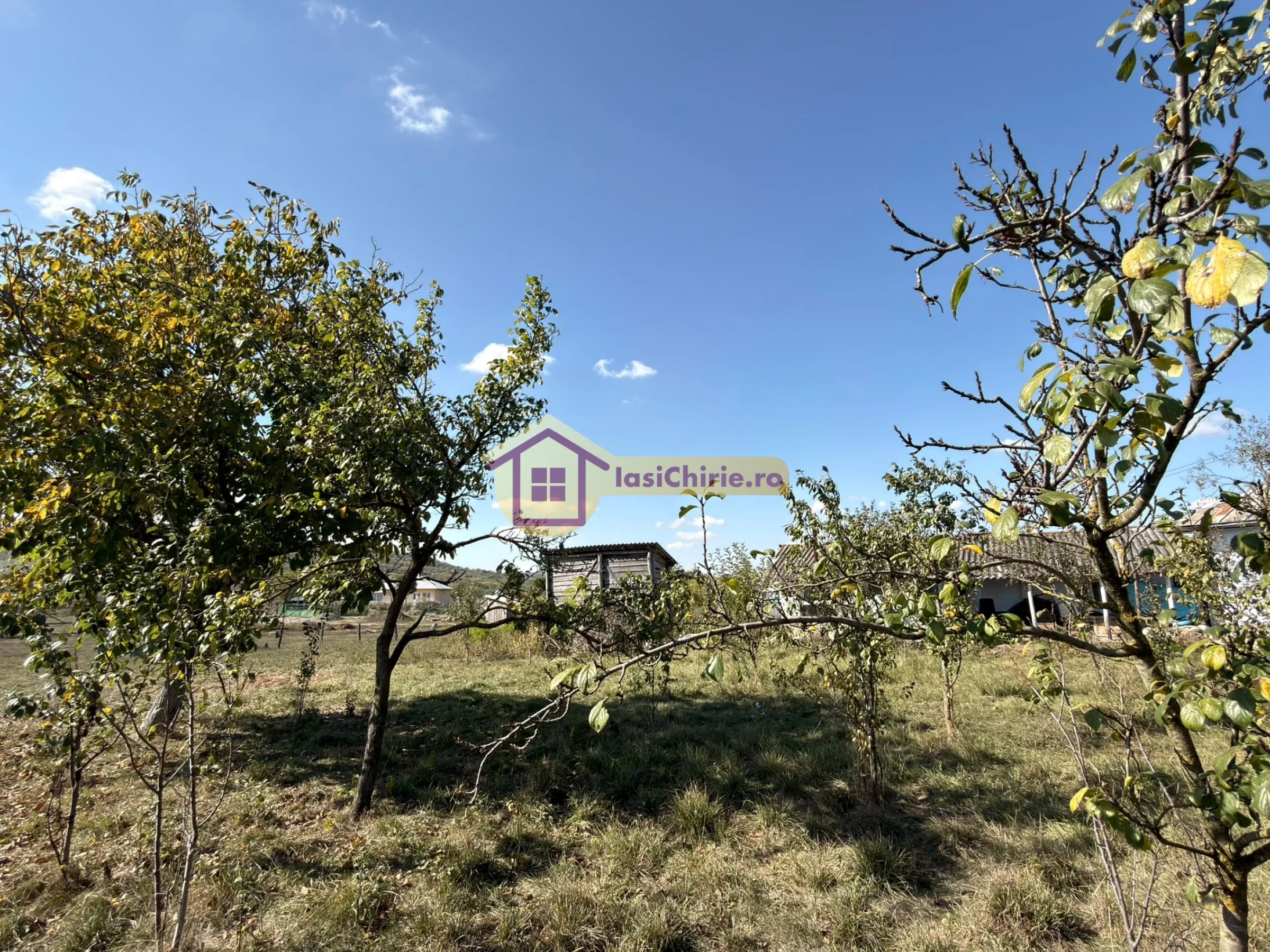 Casa de vanzare cu 3 camere in Iasi, zona Erbiceni - Poza 3
