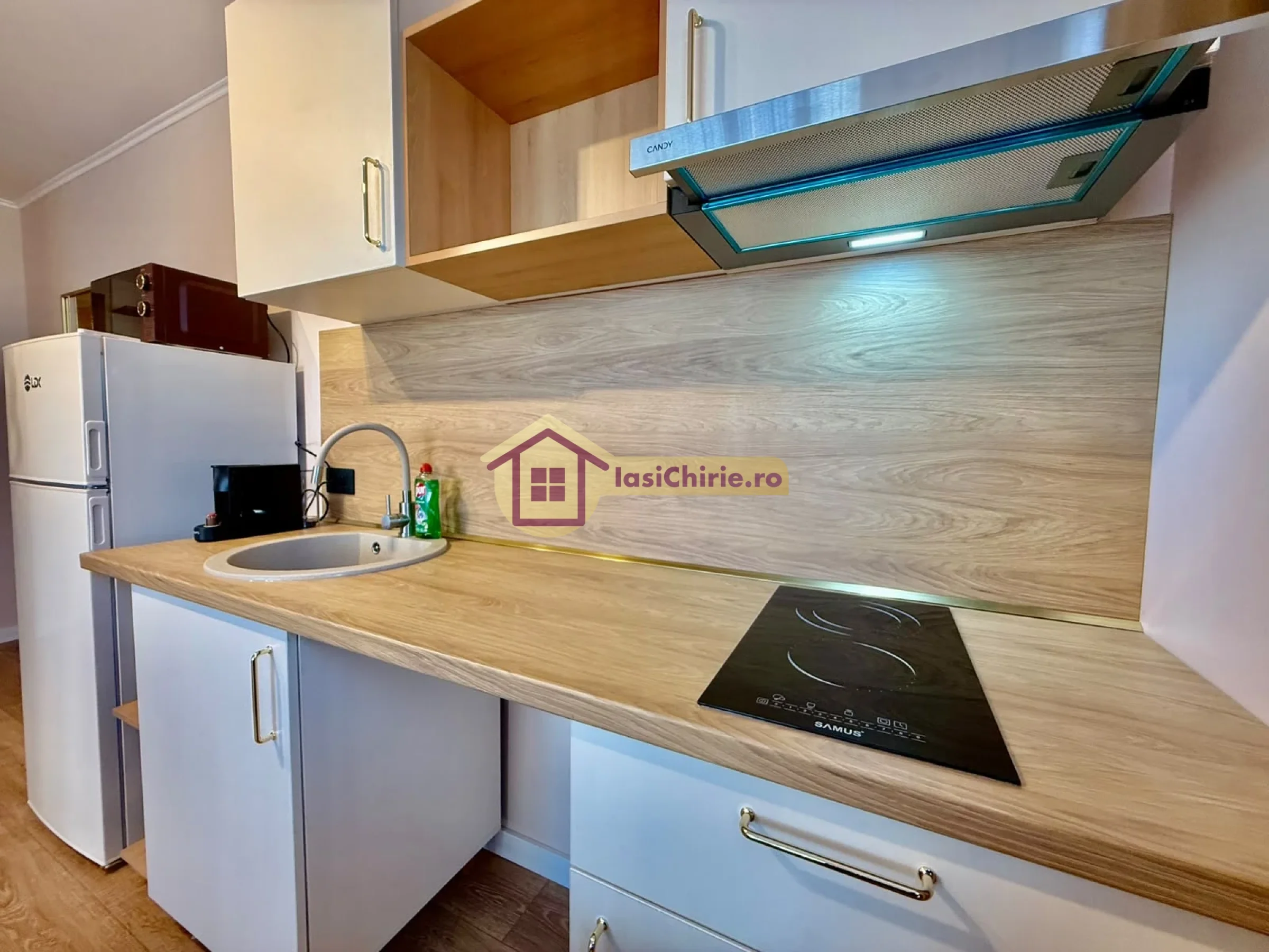 Apartament de inchiriat cu o camera in Iasi, zona Copou - Poza 6